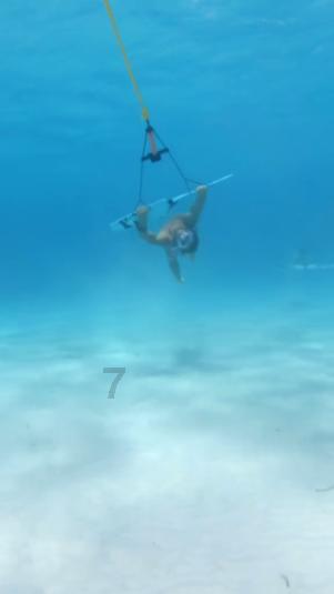 水果时尚风格