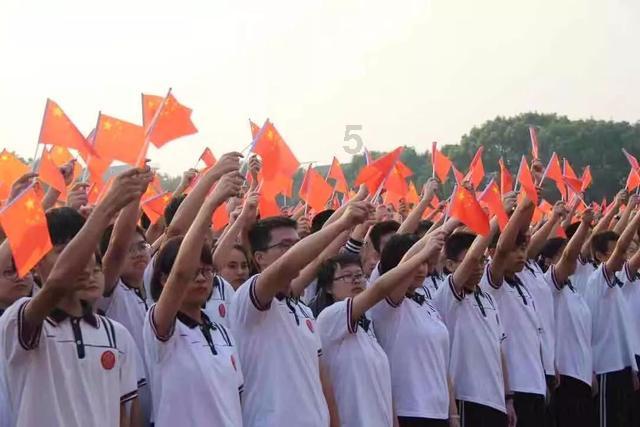 一斤西红柿大约有几个游戏画面